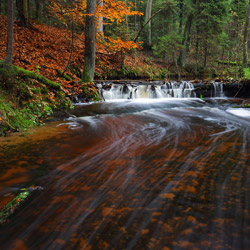 Szum River Nature Reserve, Central Roztocze