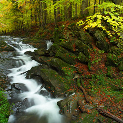 Waterfall on a Hylaty Stream, Landscape Park of the San River Valley, Western Bieszczady