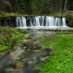 Waterfall on a Jelen Stream, Landscape Park of the Solska Primeval Forest, Central Roztocze