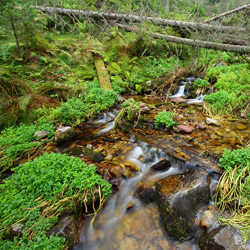 Pańszczycki potok, Tatrzański Park Narodowy, Tatry Wysokie