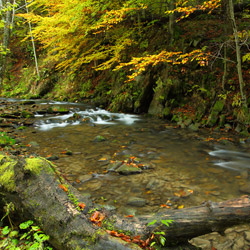 Hylaty Stream, Landscape Park of the San River Valley, Western Bieszczady