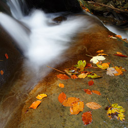 Waterfall on a Hylaty Stream, Landscape Park of the San River Valley, Western Bieszczady