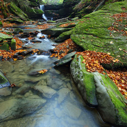Waterfall on a Hulski Stream, Landscape Park of the San River Valley, Western Bieszczady