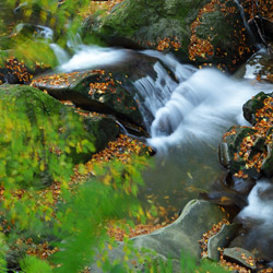 Waterfall on a Hylaty Stream, Landscape Park of the San River Valley, Western Bieszczady