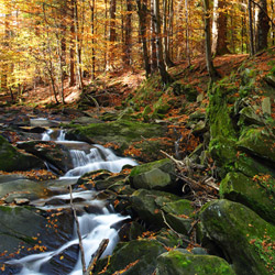 Waterfall on a Hylaty Stream, Landscape Park of the San River Valley, Western Bieszczady