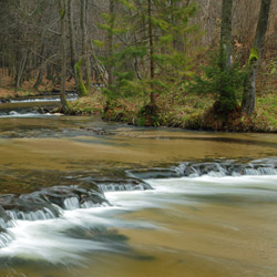 Tanew River Nature Reserve, Landscape Park of the Solska Primeval Forest, Central Roztocze