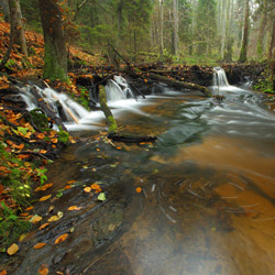 Szum River Nature Reserve, Central Roztocze