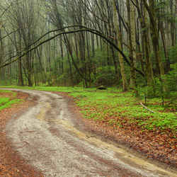 Szczebrzeszyński Park Krajobrazowy, Roztocze Zachodnie