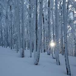 Bieszczady National Park, Western Bieszczady