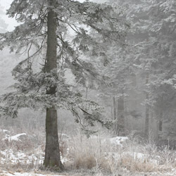 Park Krajobrazowy Gór Słonnych, Pogórze Przemyskie