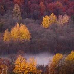 Bieszczadzki Park Narodowy, Bieszczady Zachodnie