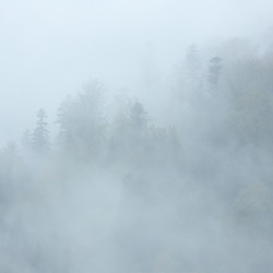 Landscape Park of the San River Valley, Western Bieszczady