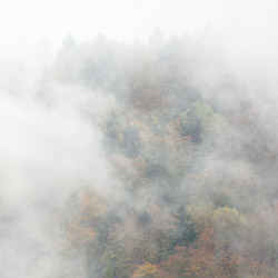 Landscape Park of the San River Valley, Western Bieszczady