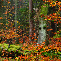 Roztoczański Park Narodowy, Roztocze Środkowe