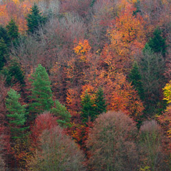 Szczebrzeszyński Park Krajobrazowy, Roztocze Zachodnie