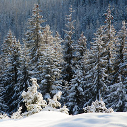 Tatra National Park, Western Tatras