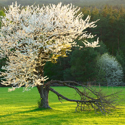 Roztocze National Park, Central Roztocze