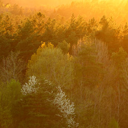 Roztoczański Park Narodowy, Roztocze Środkowe