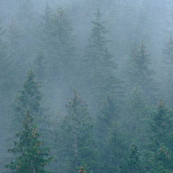 Tatrzański Park Narodowy, Tatry Zachodnie