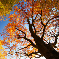 Roztocze National Park, Central Roztocze