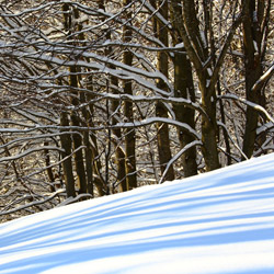 Bieszczady National Park, Western Bieszczady