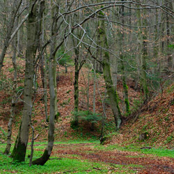 Szczebrzeszyn Landscape Park, Western Roztocze