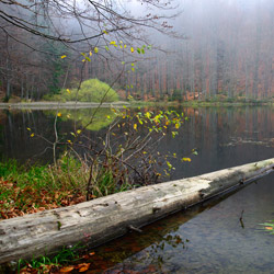 Rezerwat przyrody Zwiezło, Ciśniańsko-Wetliński Park Krajobrazowy, Bieszczady Zachodnie