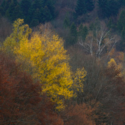 Ciśniańsko-Wetliński Park Krajobrazowy, Bieszczady Zachodnie