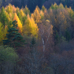 Ciśniańsko-Wetliński Park Krajobrazowy, Bieszczady Zachodnie