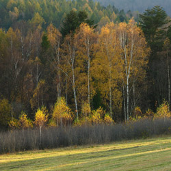 Ciśniańsko-Wetliński Park Krajobrazowy, Bieszczady Zachodnie