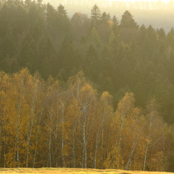 Ciśniańsko-Wetliński Landscape Park, Western Bieszczady