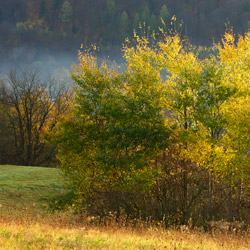 Ciśniańsko-Wetliński Park Krajobrazowy, Bieszczady Zachodnie