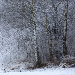 Biebrza National Park, Biebrza Basin