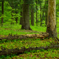 Roztocze National Park