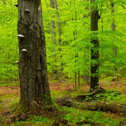 Roztocze National Park