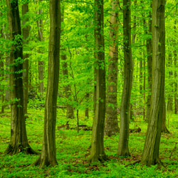 Roztocze National Park