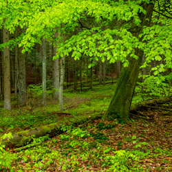 Roztocze National Park