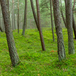 Slowinski National Park, Slowinskie Coast