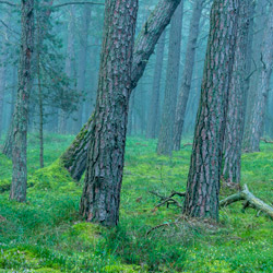 Słowiński Park Narodowy, Wybrzeże Słowińskie