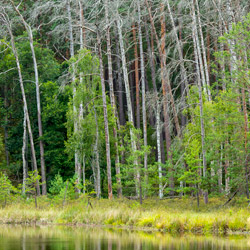 Park Narodowy Bory Tucholskie, Równina Charzykowska