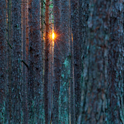 Park Narodowy Bory Tucholskie, Równina Charzykowska