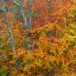 South Roztocze Landscape Park