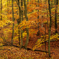 Południoworoztoczański Park Krajobrazowy