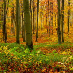 Południoworoztoczański Park Krajobrazowy