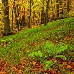 South Roztocze Landscape Park