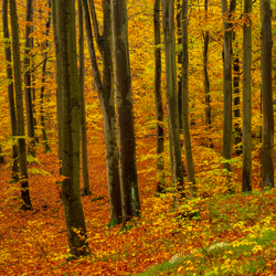 Południoworoztoczański Park Krajobrazowy