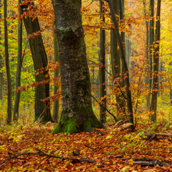 South Roztocze Landscape Park