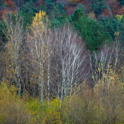 South Roztocze Landscape Park