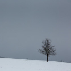 Magurski Park Narodowy, Beskid Niski