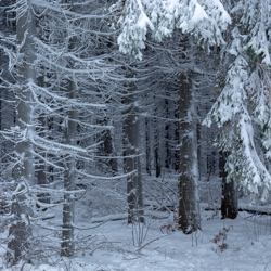 Magura National Park, Low Beskid